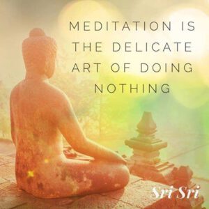 Meditation is the delicate art of doing nothing
